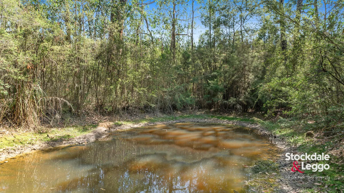 Additional image 4 of 130 Todds Road, Boolarra VIC 3870