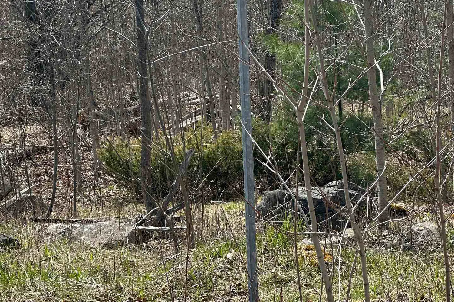 2981 County Road 44 photo 2