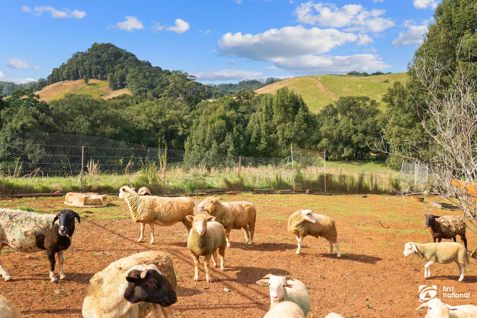 Additional image 30 of 584 Nobbys Creek Road, Nobbys Creek NSW 2484