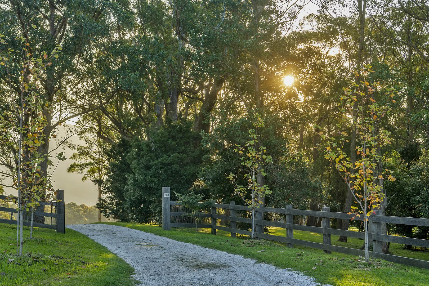 Additional image 24 of 283 Stockyard Mountain Road, Yellow Rock Ridge NSW 2527