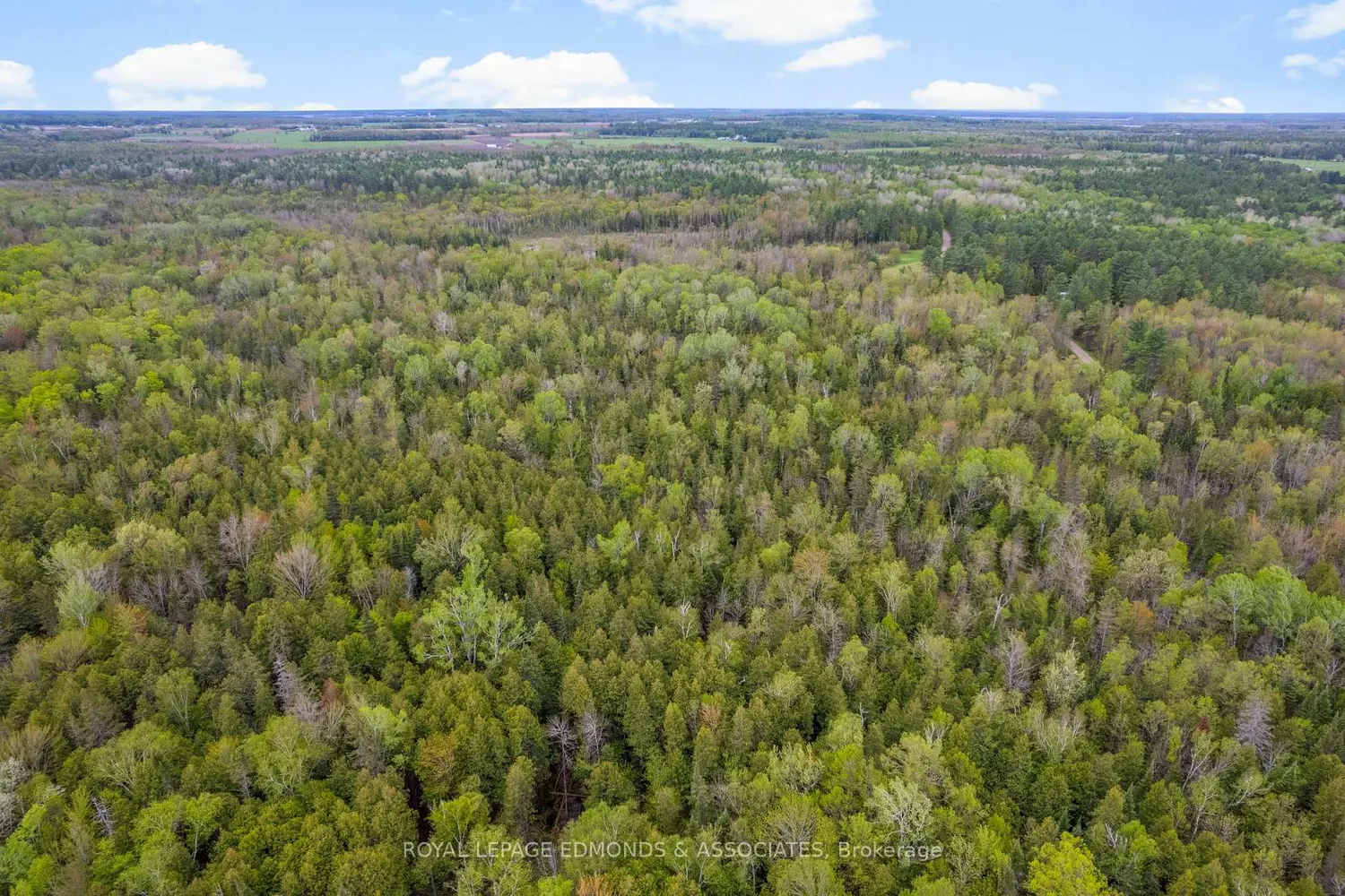 Additional image 6 of 0000 Nangor Trail