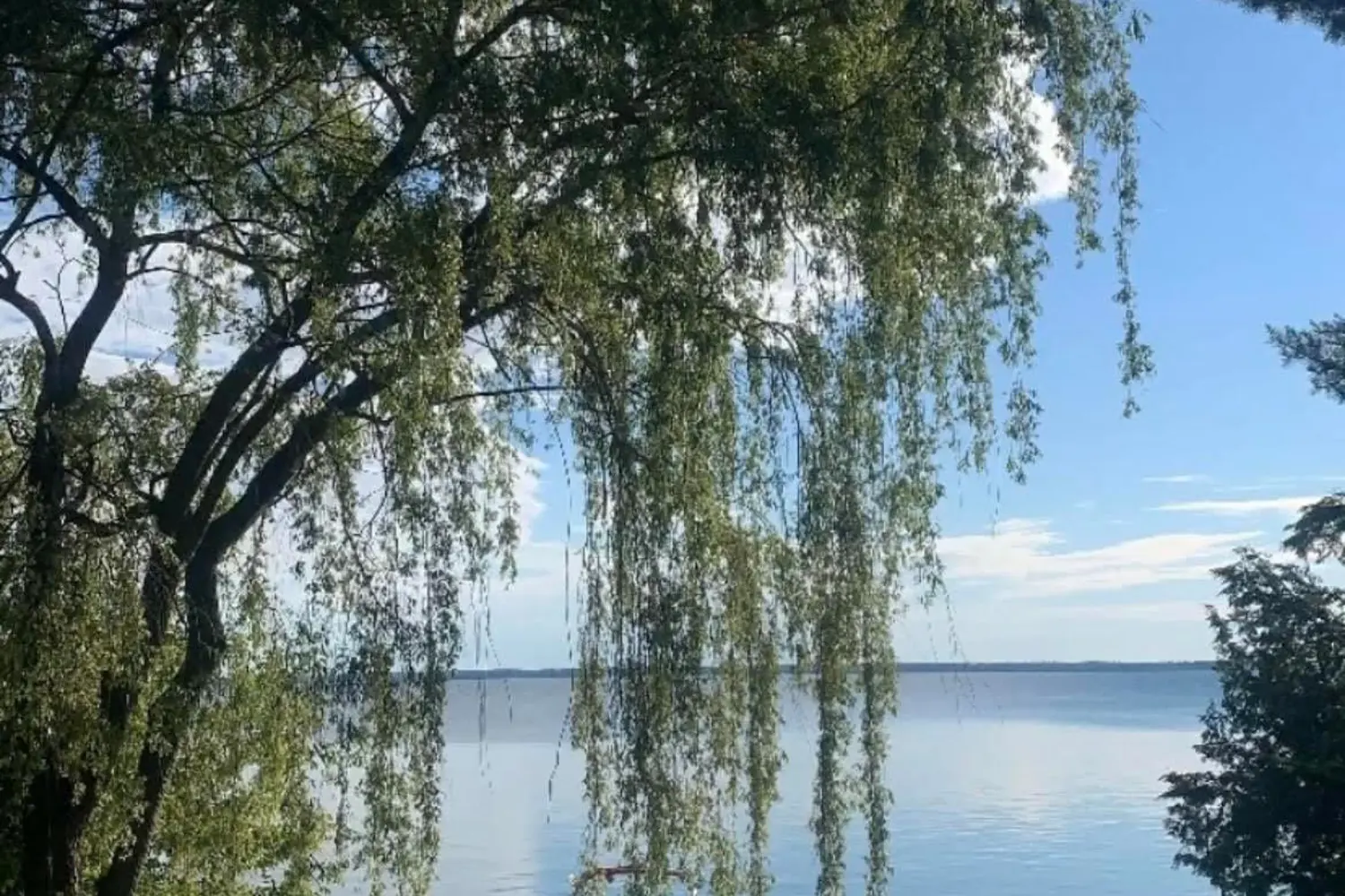 Additional image 18 of 21 Pinery Lane