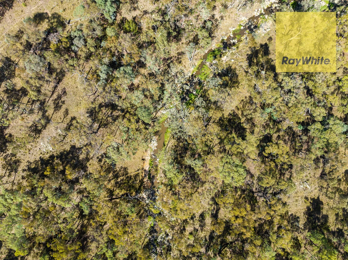 Additional image 24 of 1013 Bigga Road, Crooked Corner NSW 2583