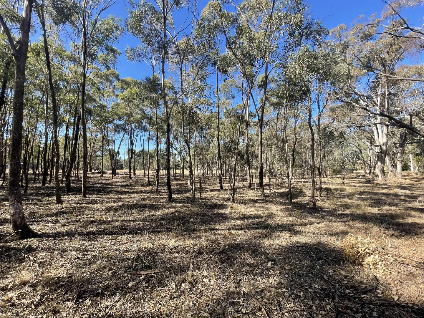Additional image 20 of 1 Corner Wimmera Highway & Carr Road, St Arnaud VIC 3478