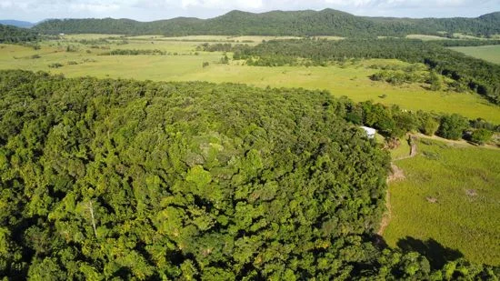 Additional image 35 of 5 Dobbin Road, Warrubullen QLD 4871