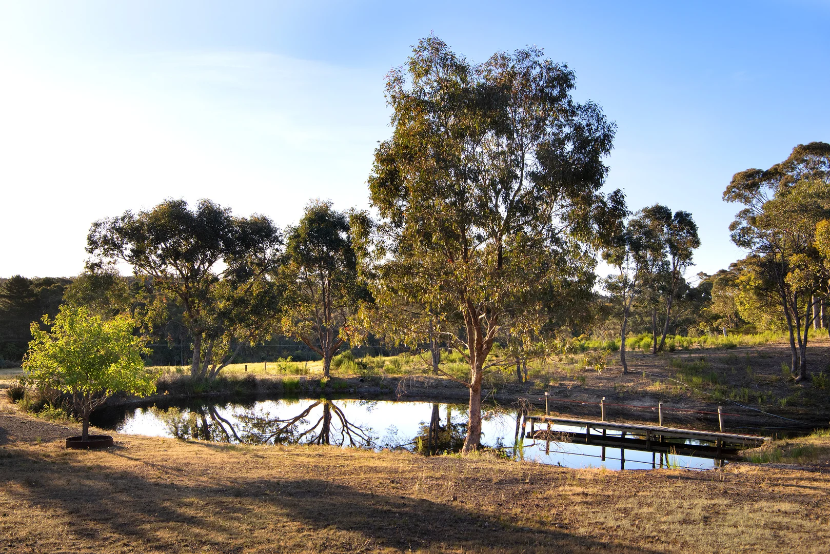Additional image 27 of 1 Coy Street, Golden Point VIC 3451