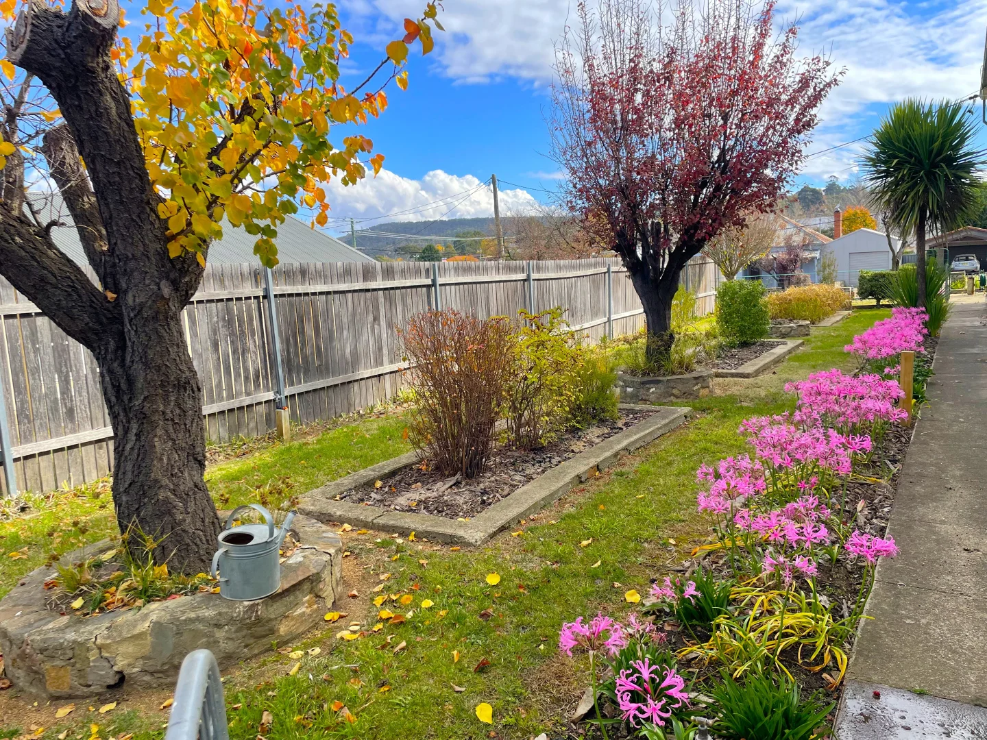 Additional image 29 of 32 Commissioner Street, Cooma NSW 2630