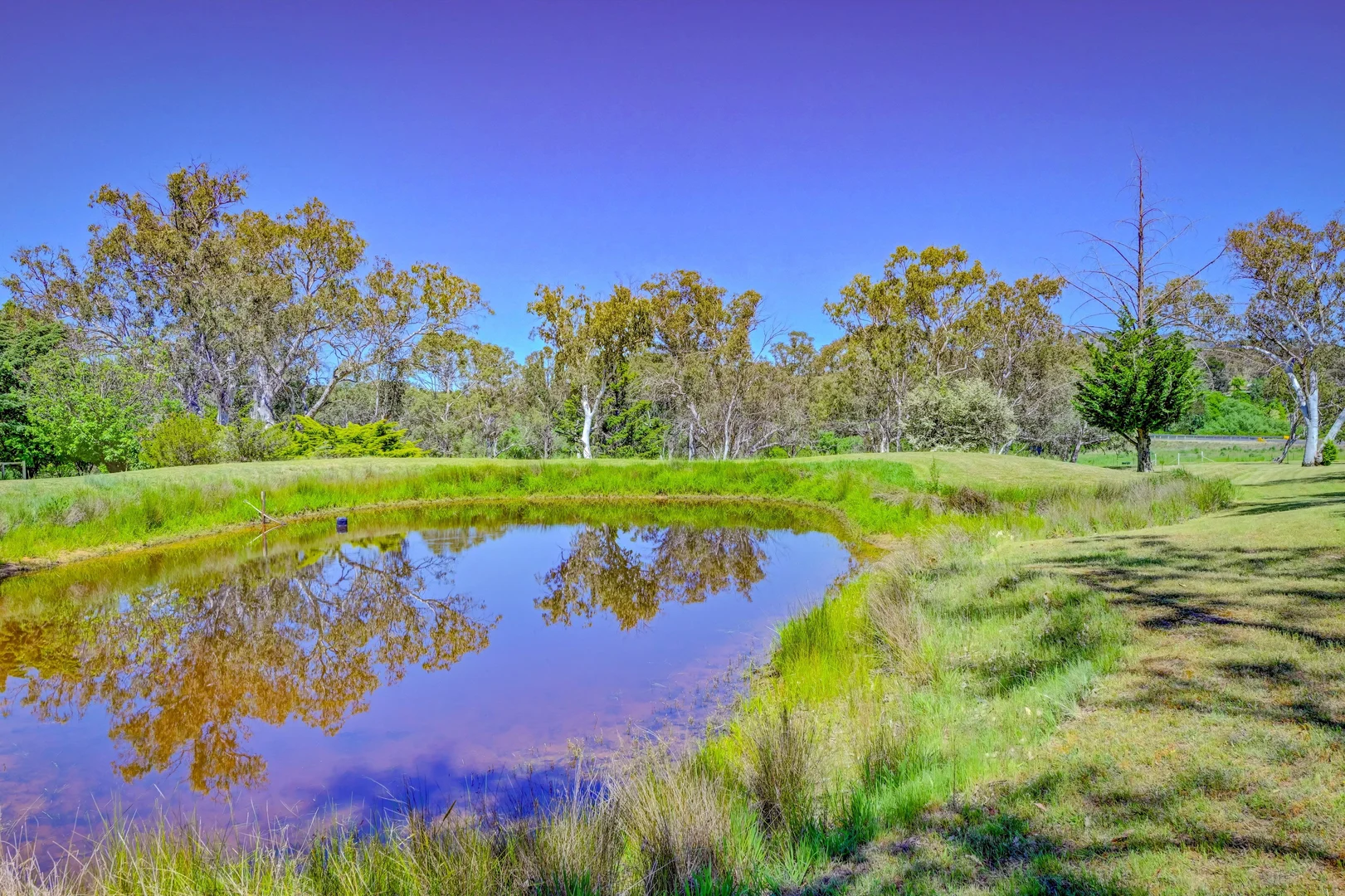 Additional image 31 of 3834 New England Highway, Bendemeer NSW 2355