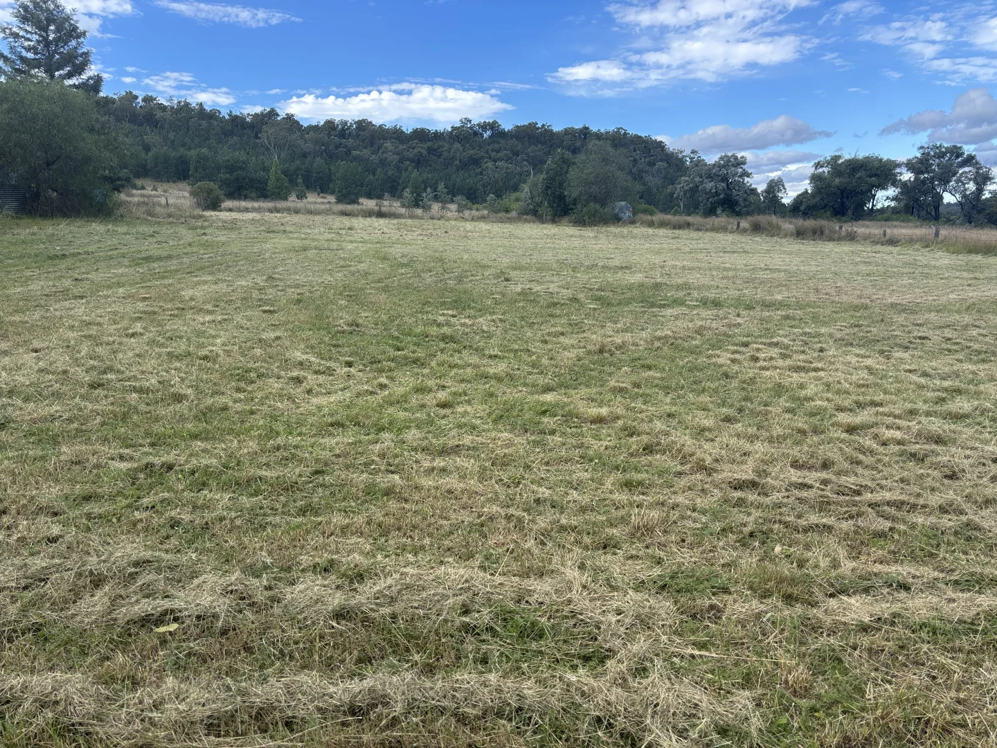 Additional image 13 of 16 Hill Street, Warialda Rail NSW 2402