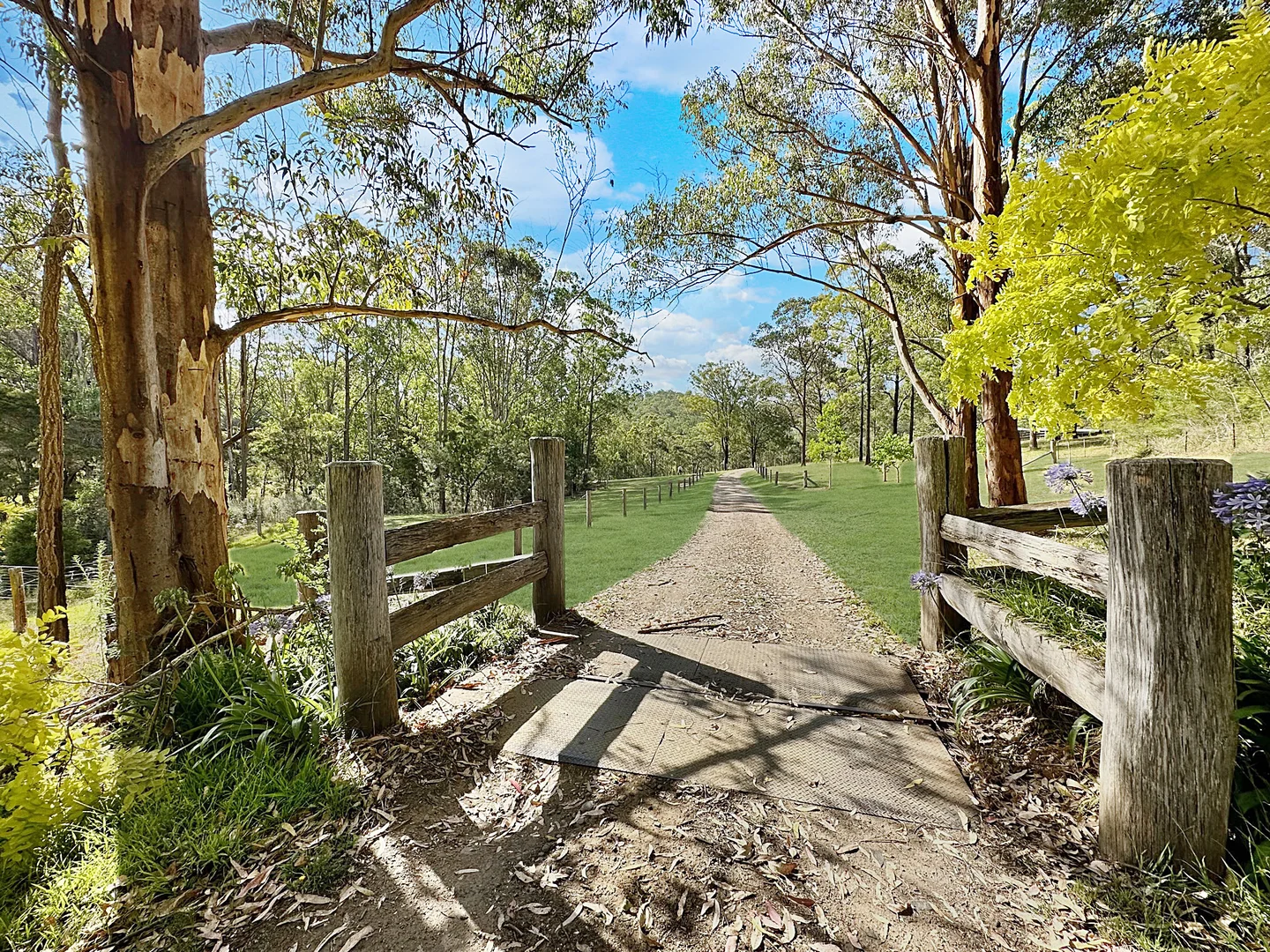 Additional image 26 of Laguna NSW 2325