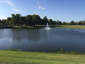 Additional image 5 of 4012 Evergreen Street, Irving, TX, 75061