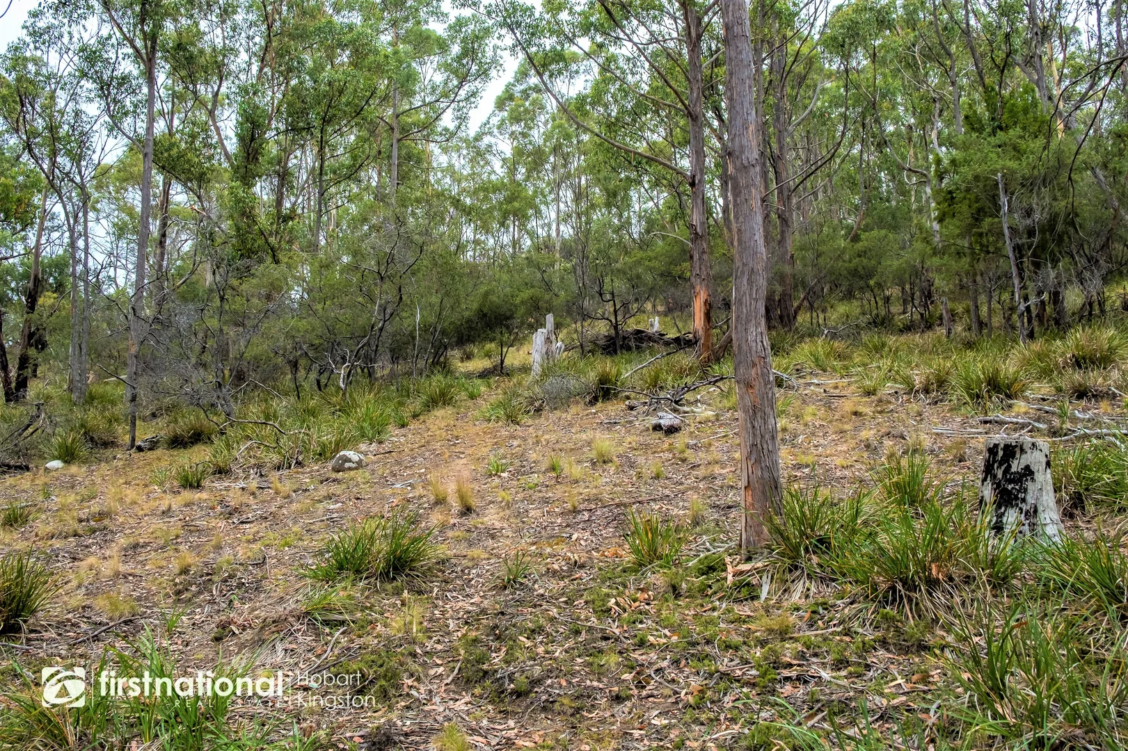 Additional image 16 of 110 Bruny Island Main Road, North Bruny TAS 7150