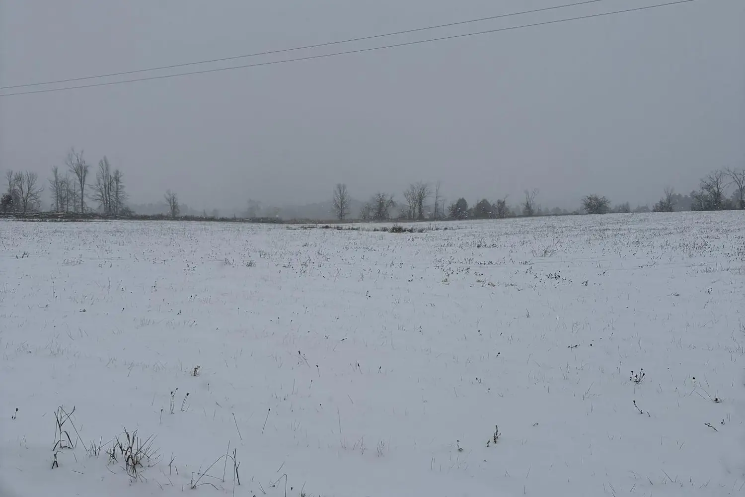 Additional image 14 of 0 Douro Third Line