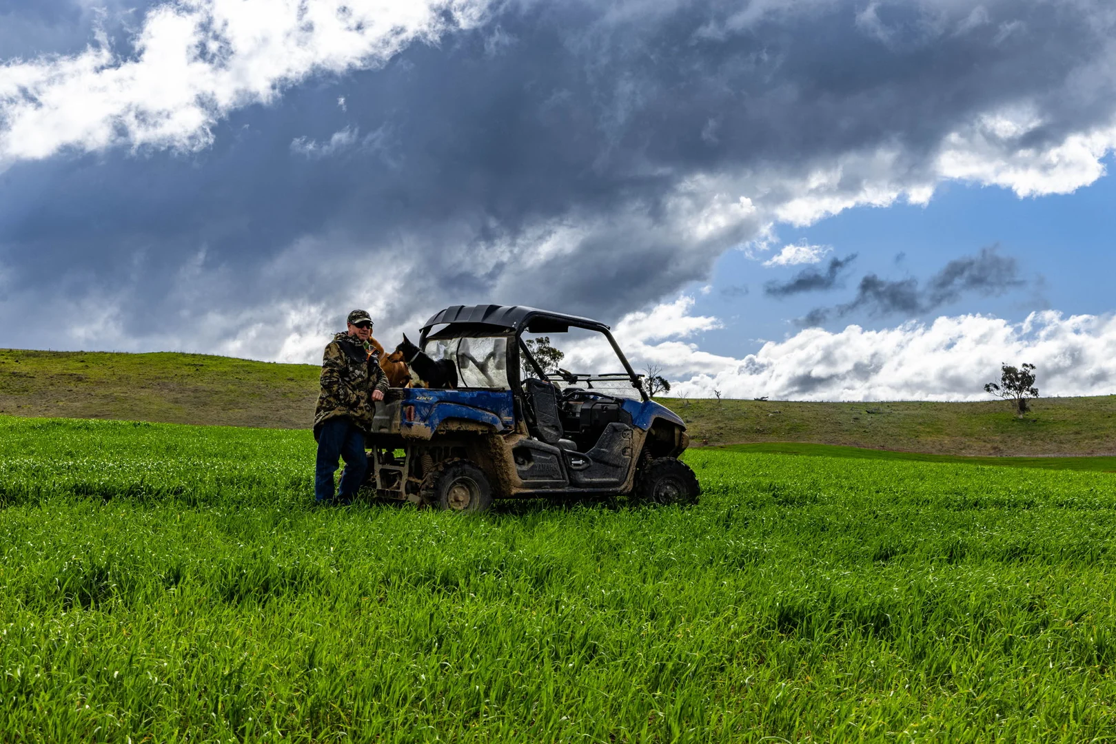 Additional image 18 of 'Darmody's', 969 Brial Rd, Boorowa NSW 2586