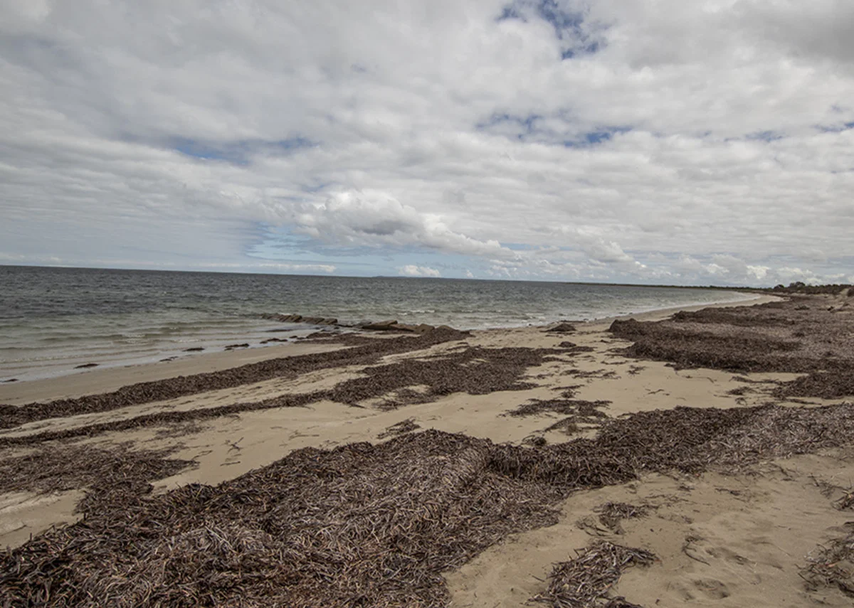 Additional image 10 of Section 101 Nugent Road, Foul Bay SA 5577