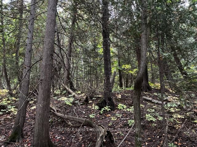 Additional image 6 of 4 Shore Road, Saugeen Shores, ON, N0H 2L0