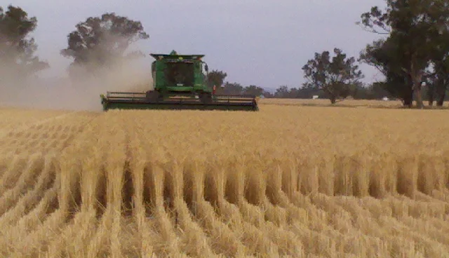 Additional image 5 of 10690 The Escort Way, Forbes NSW 2871