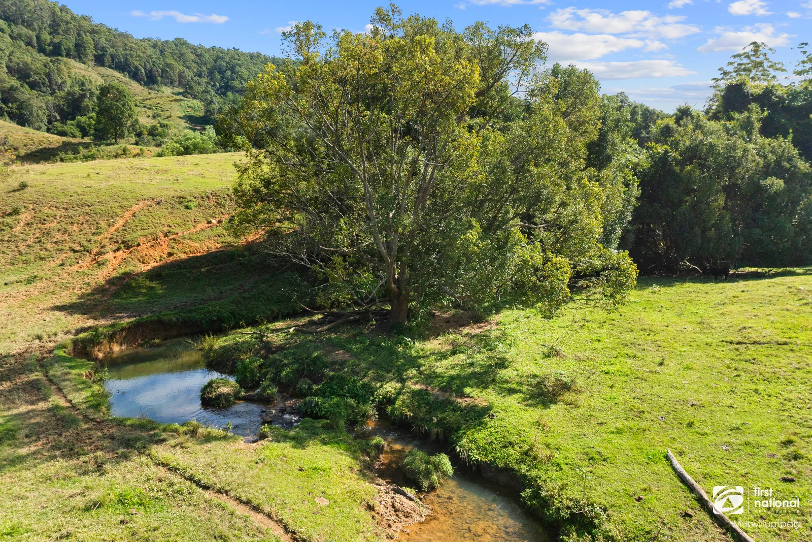 Additional image 39 of 584 Nobbys Creek Road, Nobbys Creek NSW 2484