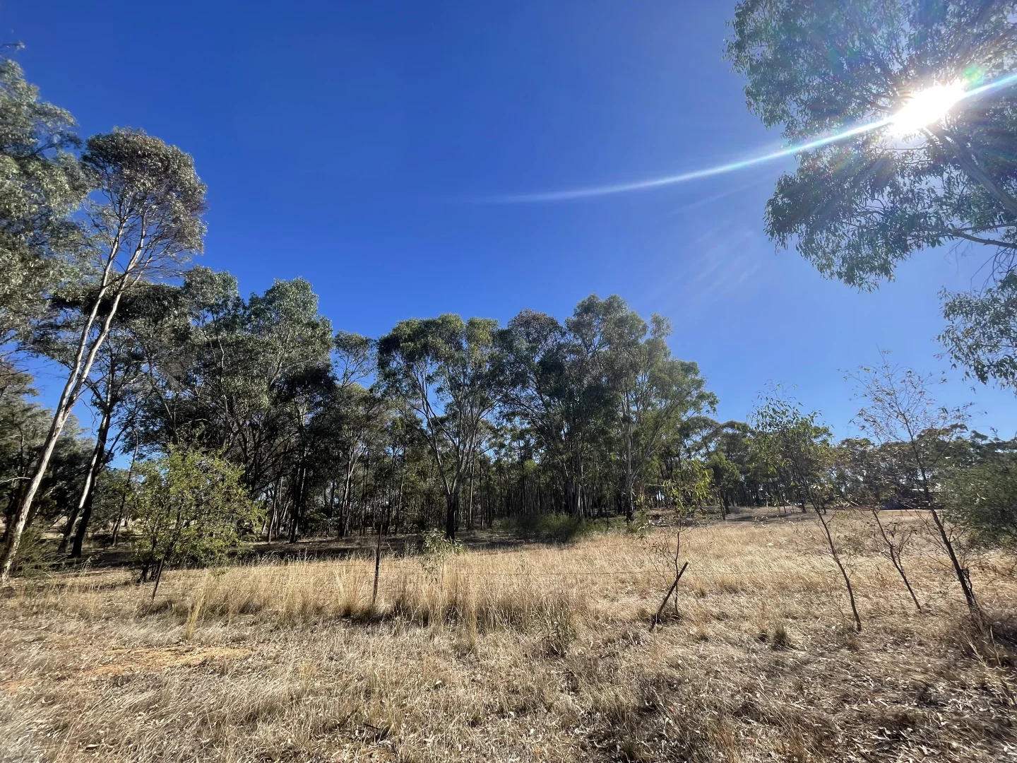 Additional image 9 of 1 Corner Wimmera Highway & Carr Road, St Arnaud VIC 3478