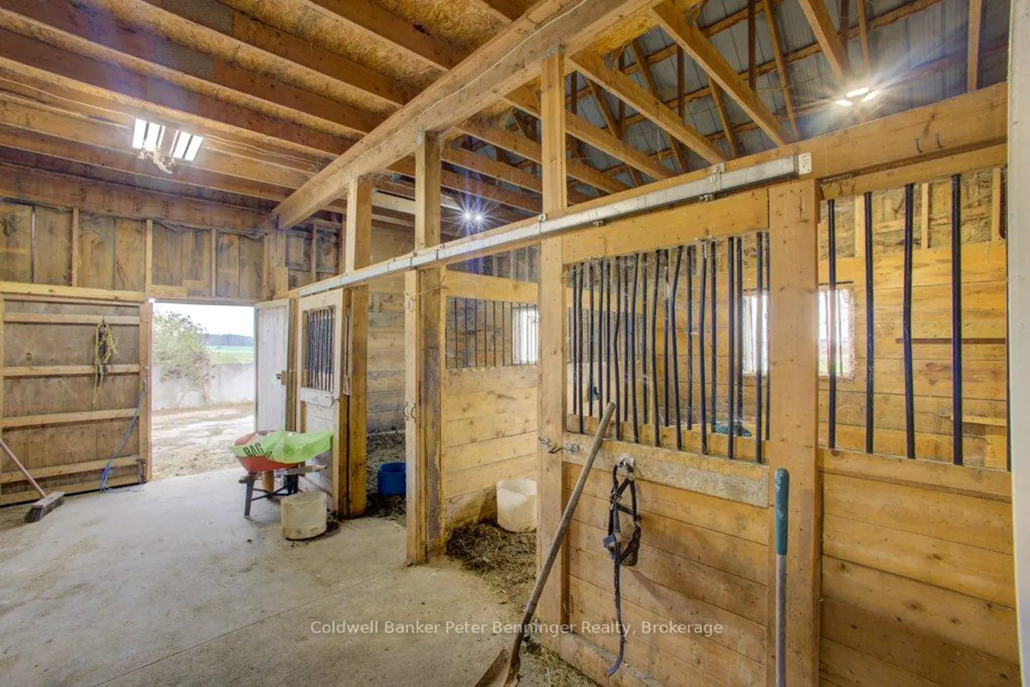 Additional image 12 of 185197 Grey Road 9 Road