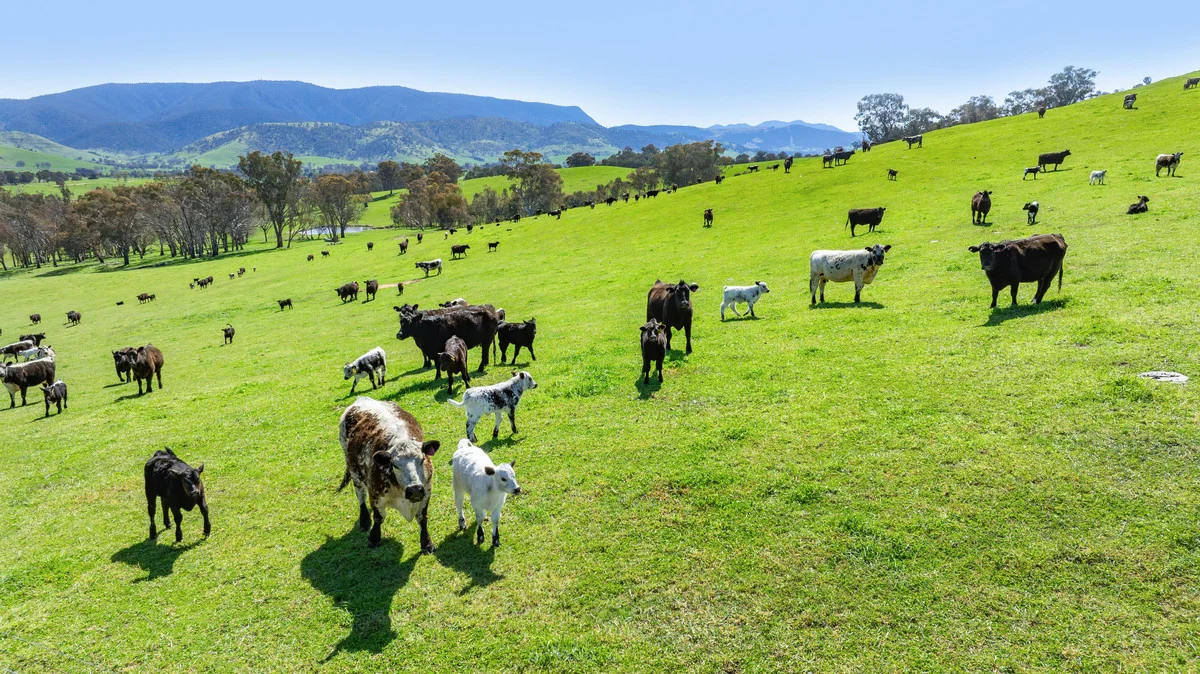 Additional image 4 of 12 Evans Road, Cudgewa VIC 3705