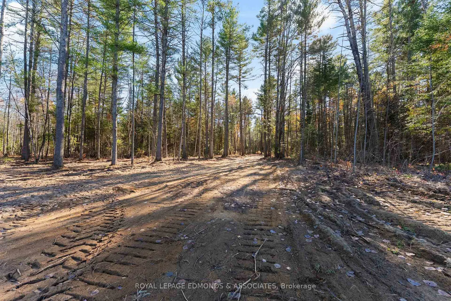 Additional image 4 of 100 Nangor Trail