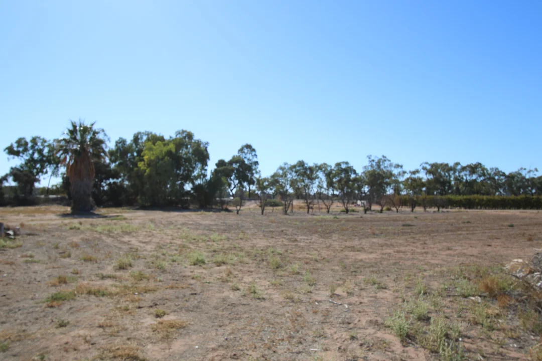 Additional image 16 of 7 The Avenue, Waikerie SA 5330