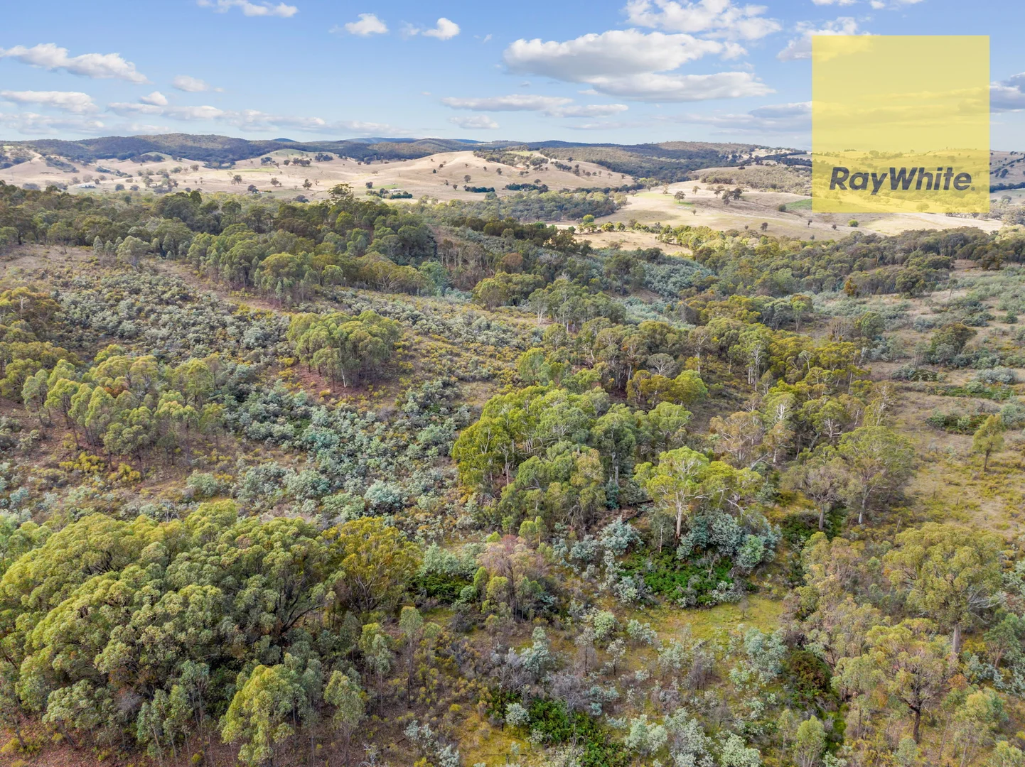 Additional image 13 of 1013 Bigga Road, Crooked Corner NSW 2583