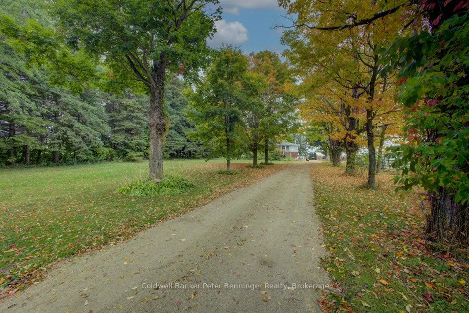 Additional image 9 of 185197 Grey Road 9 Road