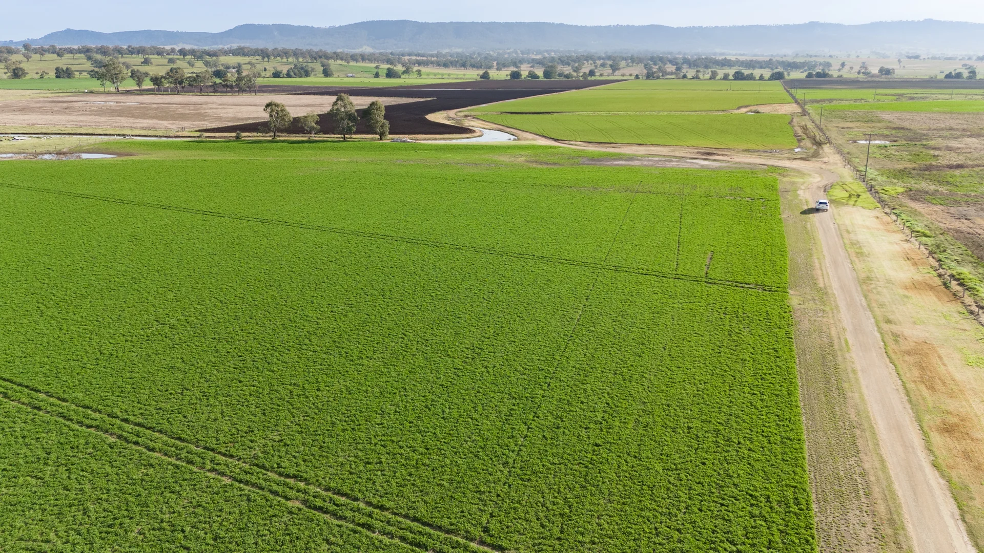 Additional image 28 of 'Billaroy' 395 Turanville Rd, Scone NSW 2337