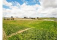 Additional image 41 of 9446 Kern River Ave, Bakersfield, CA, 93308