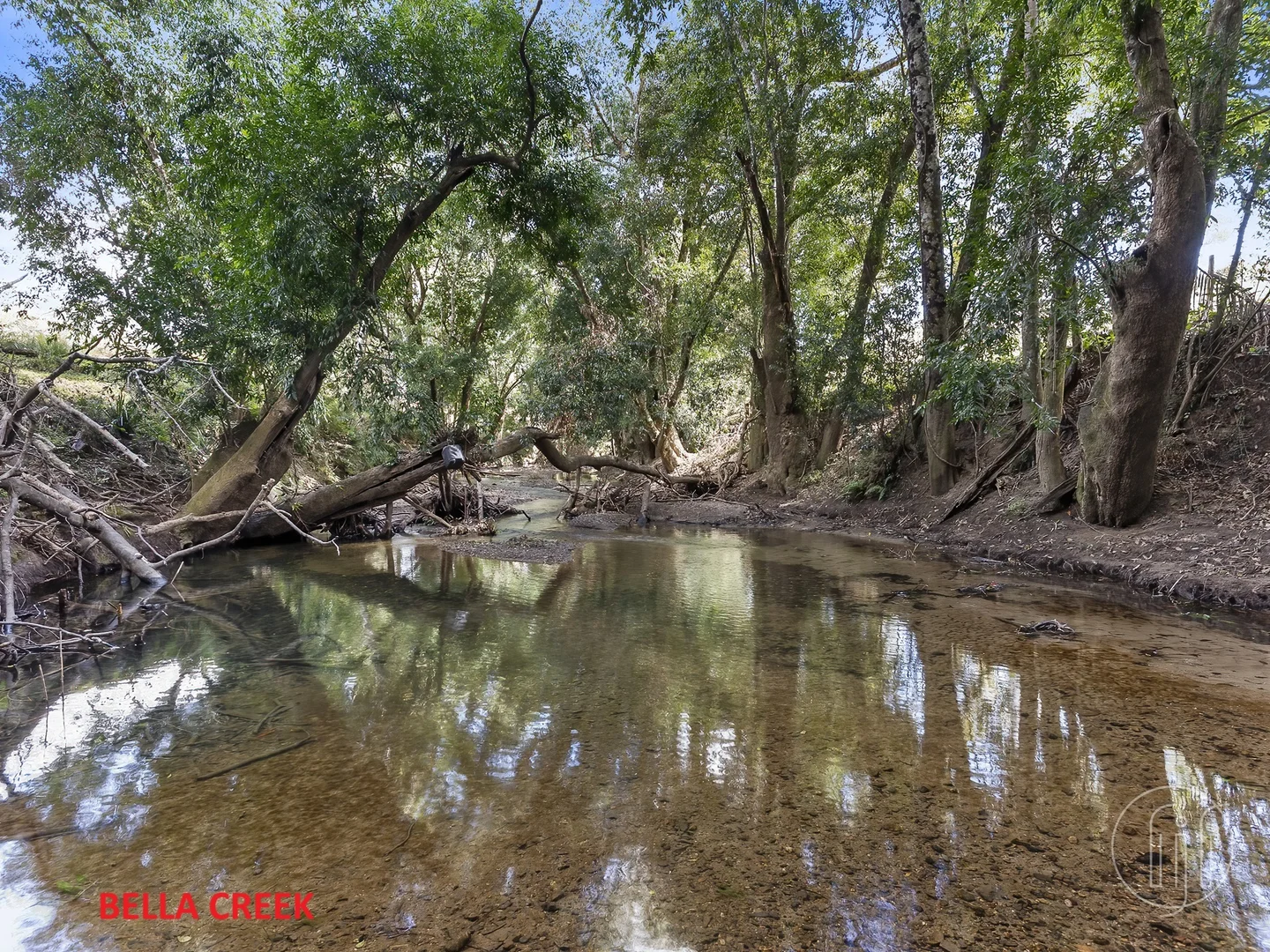 Additional image 34 of 44 Bella Creek Road, Bella Creek QLD 4570