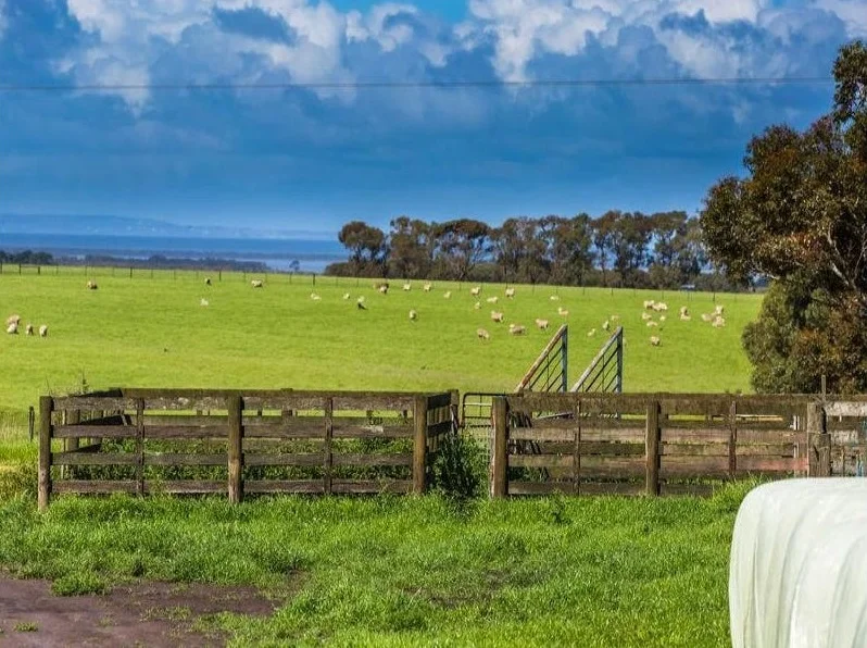 Additional image 6 of 42-90 Banks Road, Drysdale VIC 3222