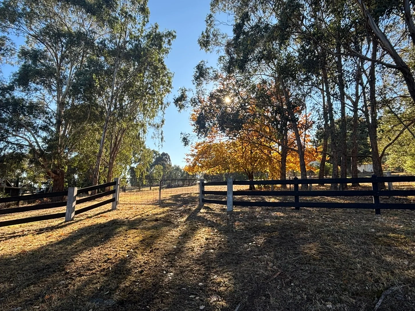 7 Cathedral Close, Buxton VIC 3711