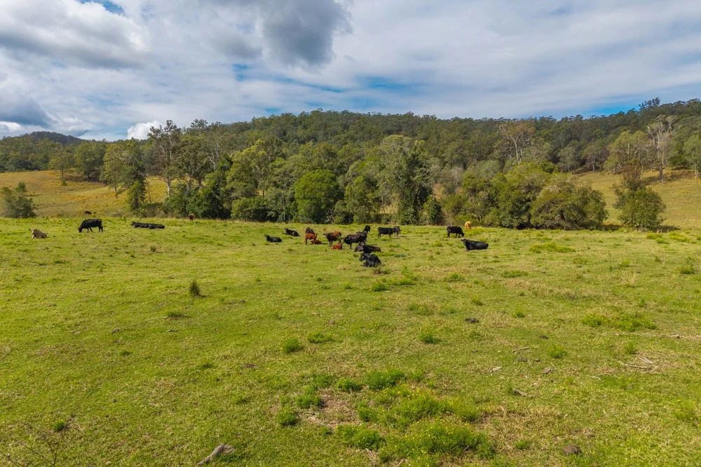 Additional image 16 of 3643 Taylors Arm Road, Burrapine NSW 2447