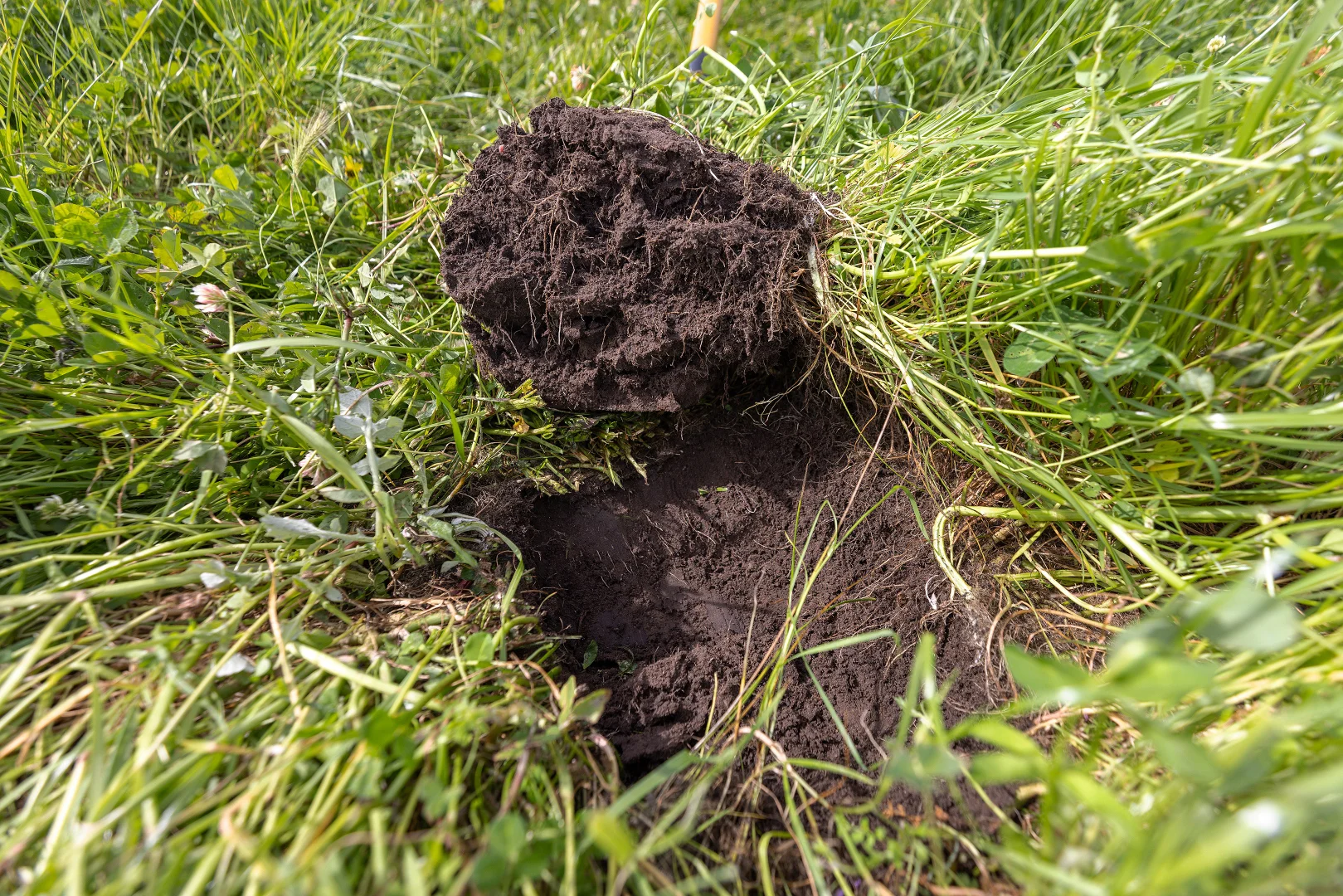 Additional image 2 of 18462 Princes Highway, Kingston Se SA 5275