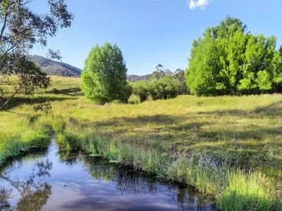 Additional image 27 of 768 North Creek Road, Ancona VIC 3715