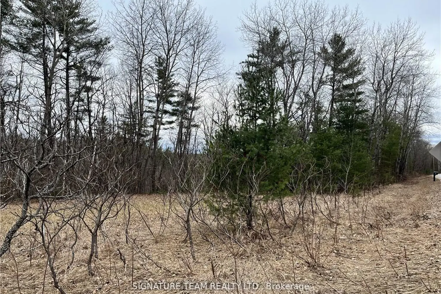 Additional image 8 of 0 Grant Settlement Road