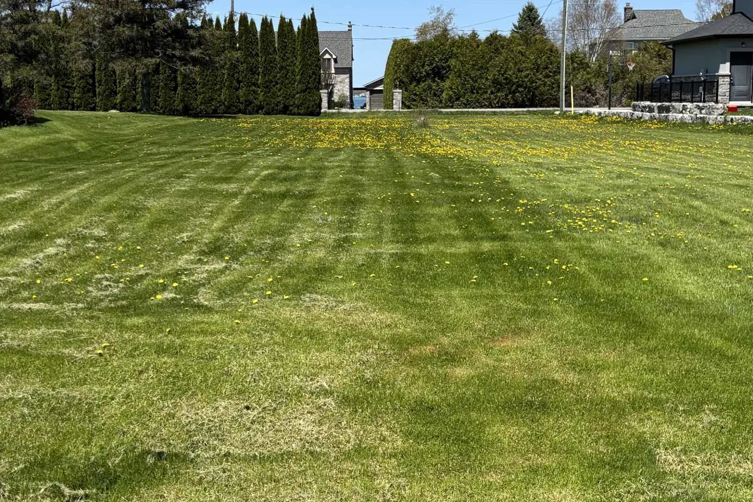 Additional image 7 of 7657 Black River Road