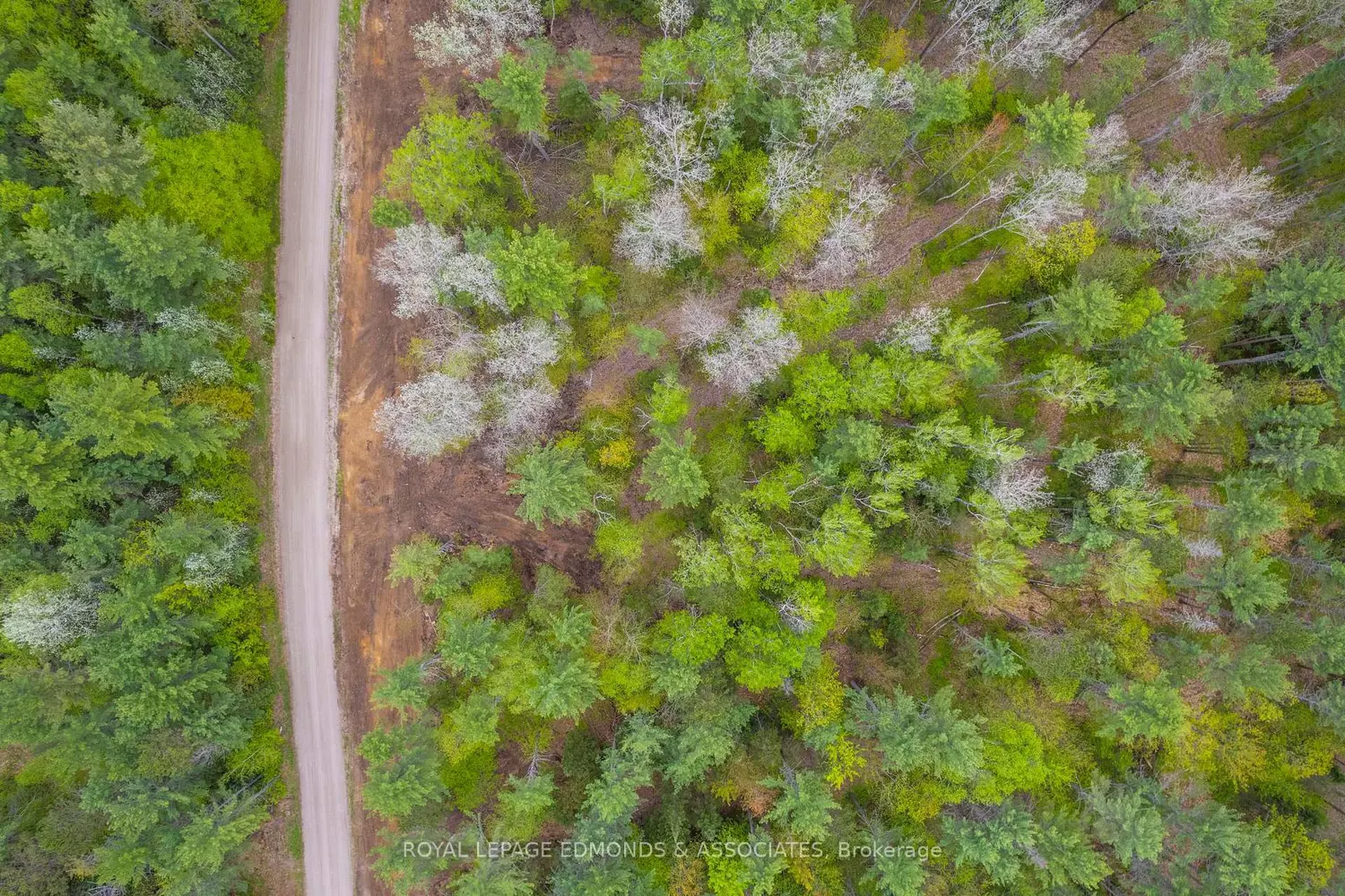 Additional image 2 of 0000 Nangor Trail