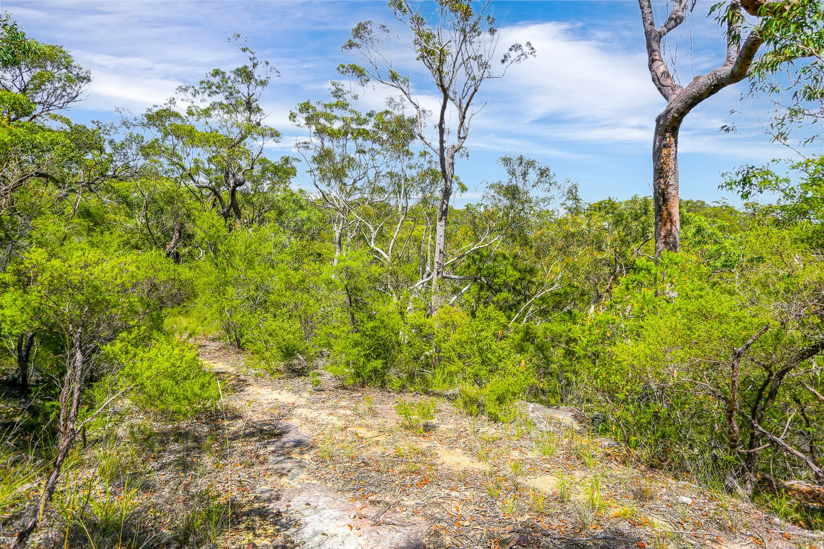 Additional image 2 of 7 Marra Avenue, Canoelands NSW 2157