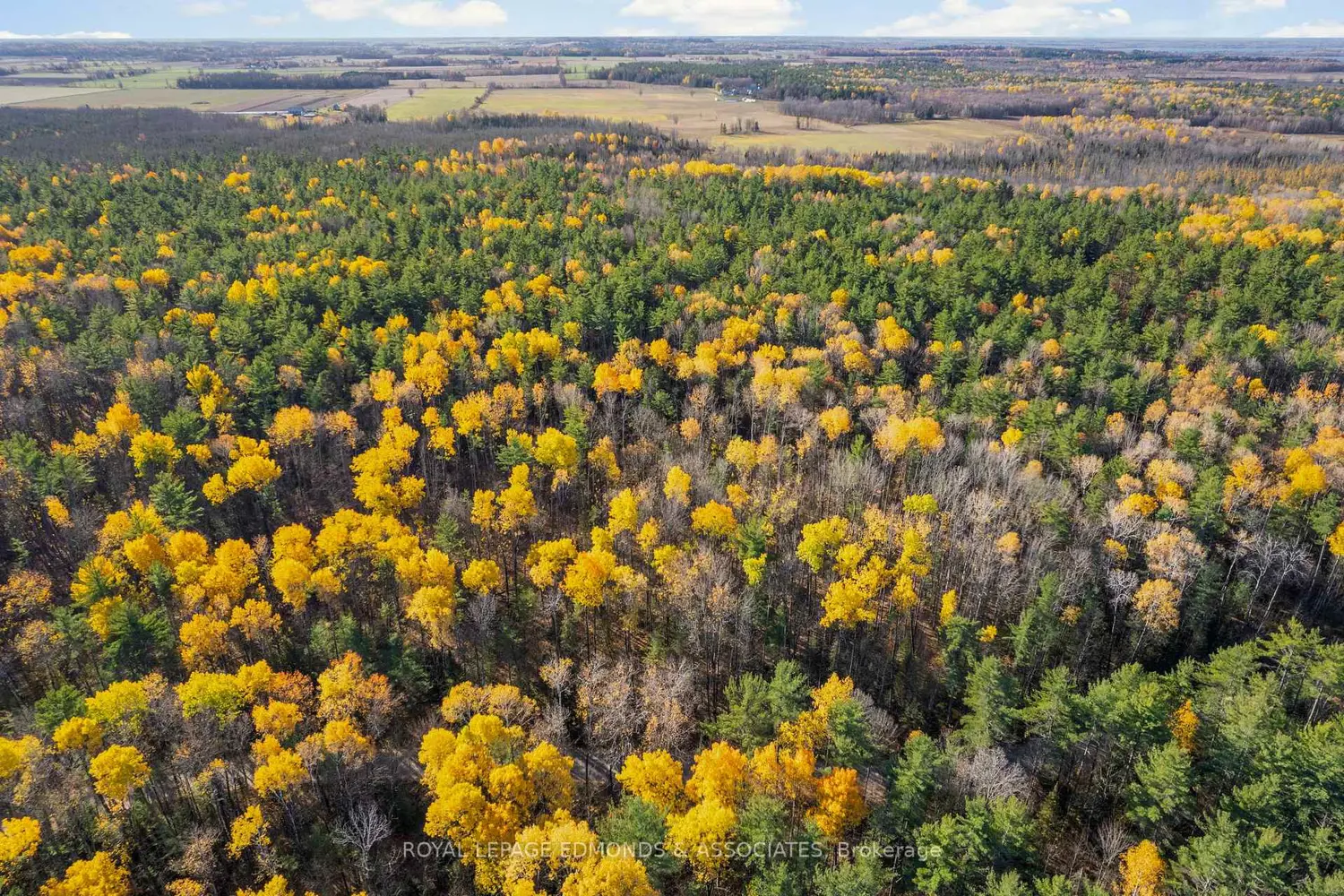 Additional image 9 of 100 Nangor Trail