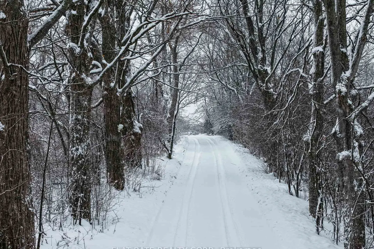 Additional image 16 of 1315 Parkhill Road