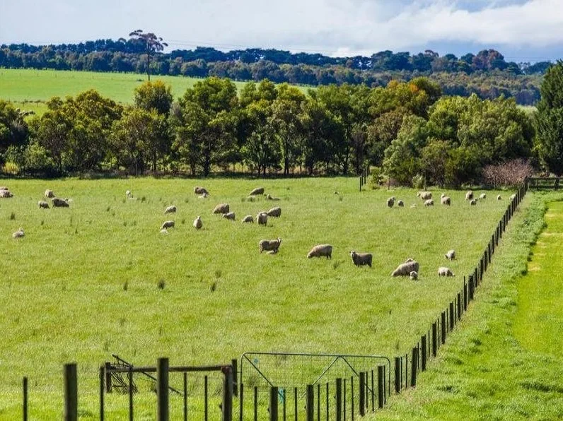 Additional image 5 of 42-90 Banks Road, Drysdale VIC 3222