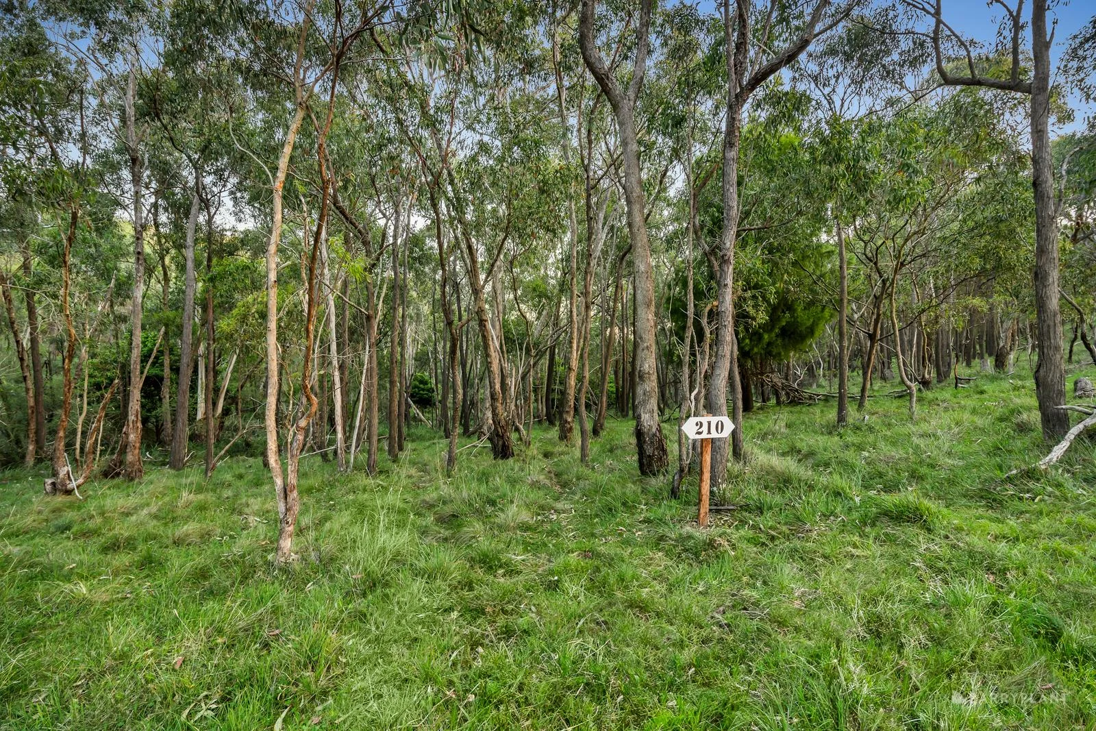 Additional image 5 of 210 Shaws Road, Cottles Bridge VIC 3099