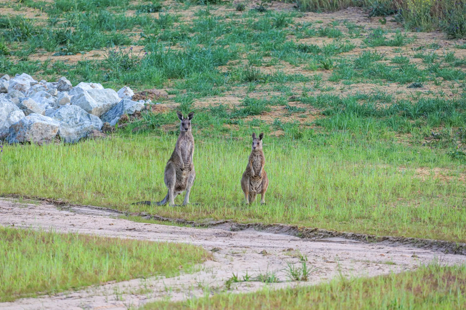 Additional image 8 of Vacant Lots Keightley Avenue, Windradyne NSW 2795