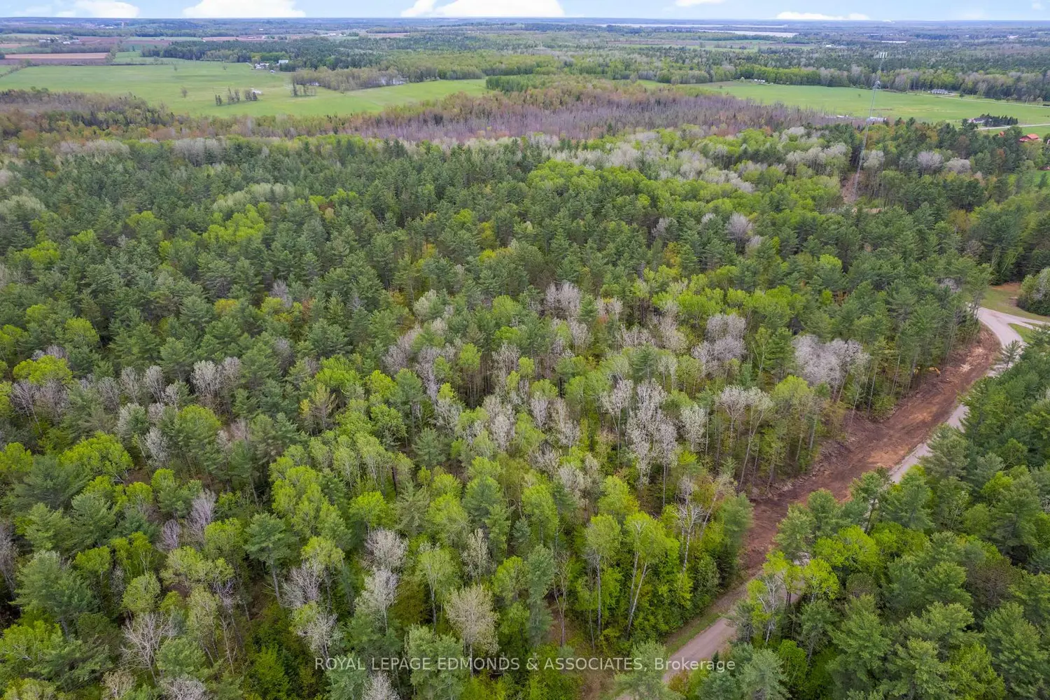 Additional image 4 of 0000 Nangor Trail