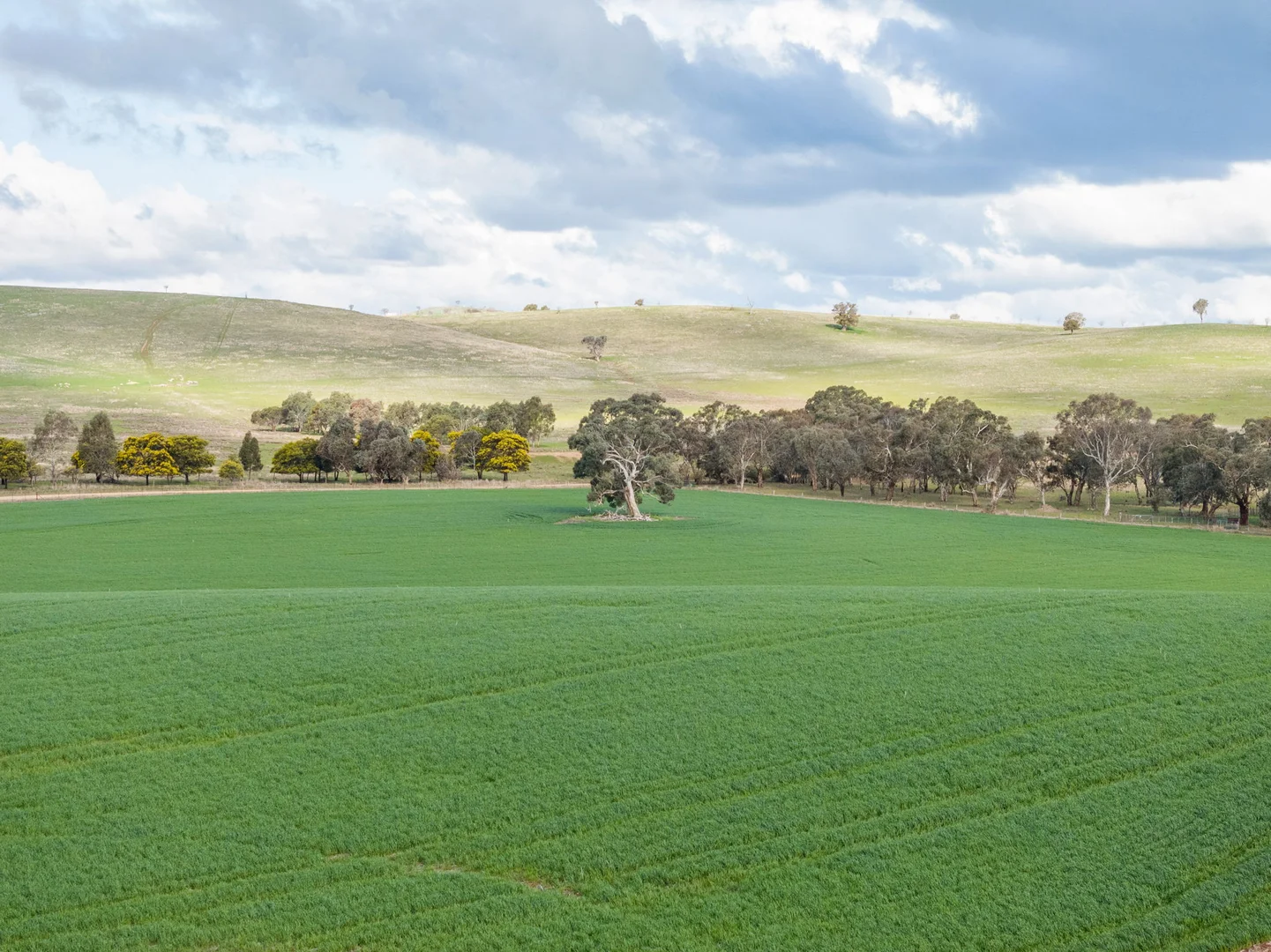 Additional image 22 of 'Darmody's', 969 Brial Rd, Boorowa NSW 2586