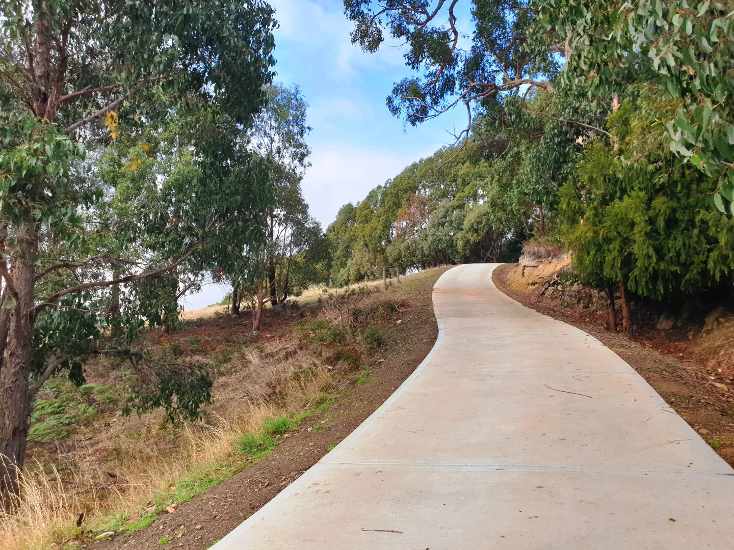 Additional image 8 of Lot 5 Wallace Road, Cygnet TAS 7112