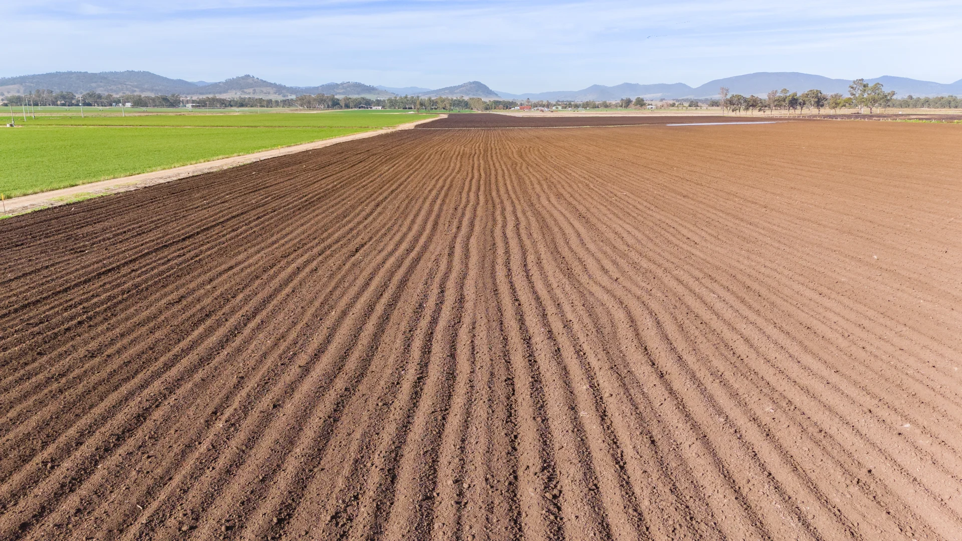 Additional image 4 of 'Billaroy' 395 Turanville Rd, Scone NSW 2337